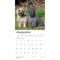 Cairn Terriers | 2027 12 x 24 Inch (Hanging) Monthly Square Wall Calendar | Plastic-Free
